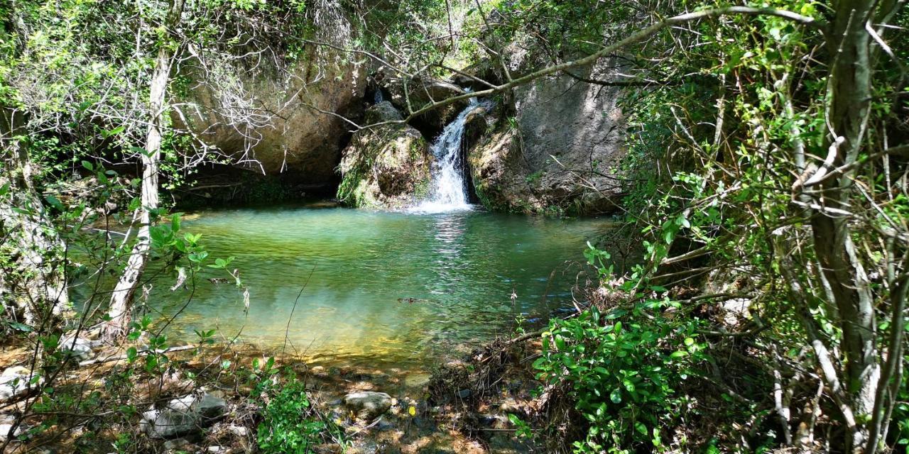 Mas De L'Arlequi ξενώνας Rojals Εξωτερικό φωτογραφία