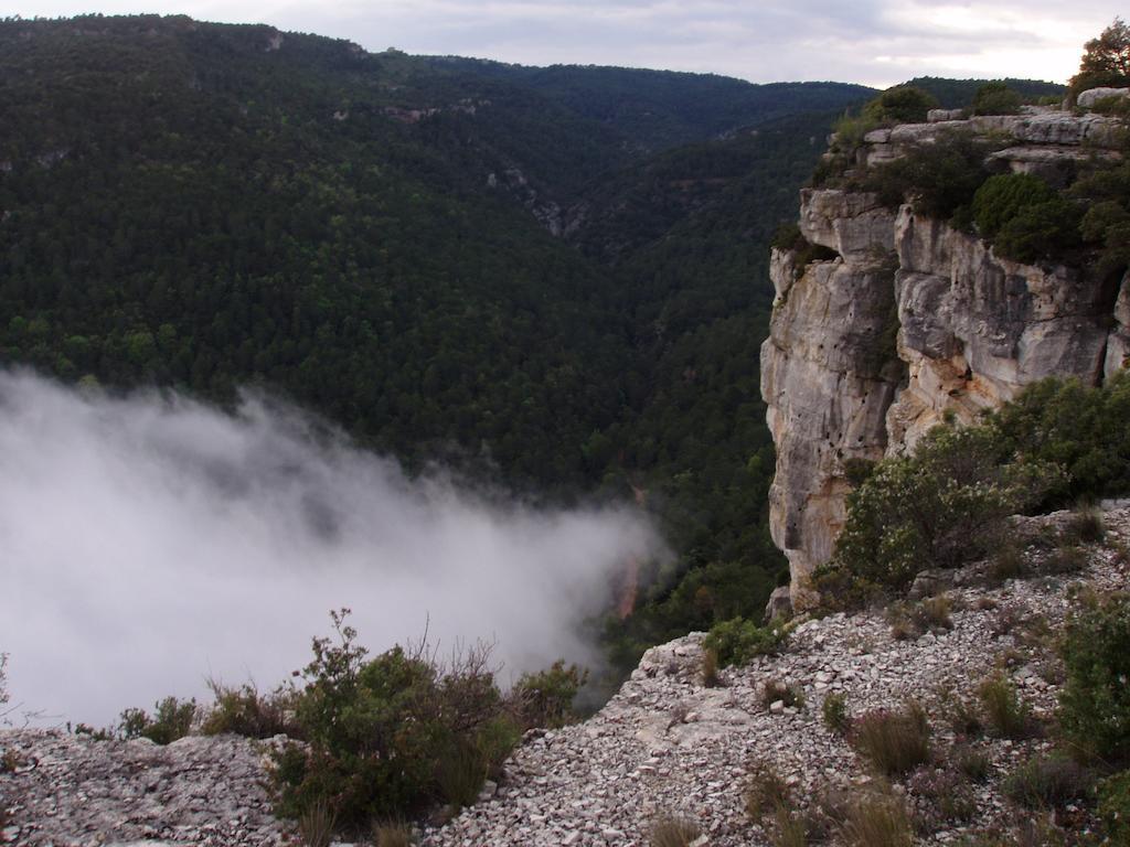 Mas De L'Arlequi ξενώνας Rojals Εξωτερικό φωτογραφία