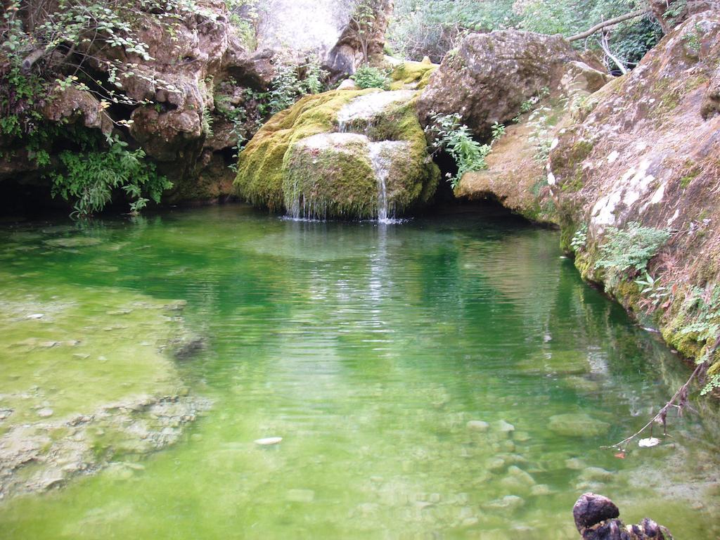 Mas De L'Arlequi ξενώνας Rojals Εξωτερικό φωτογραφία